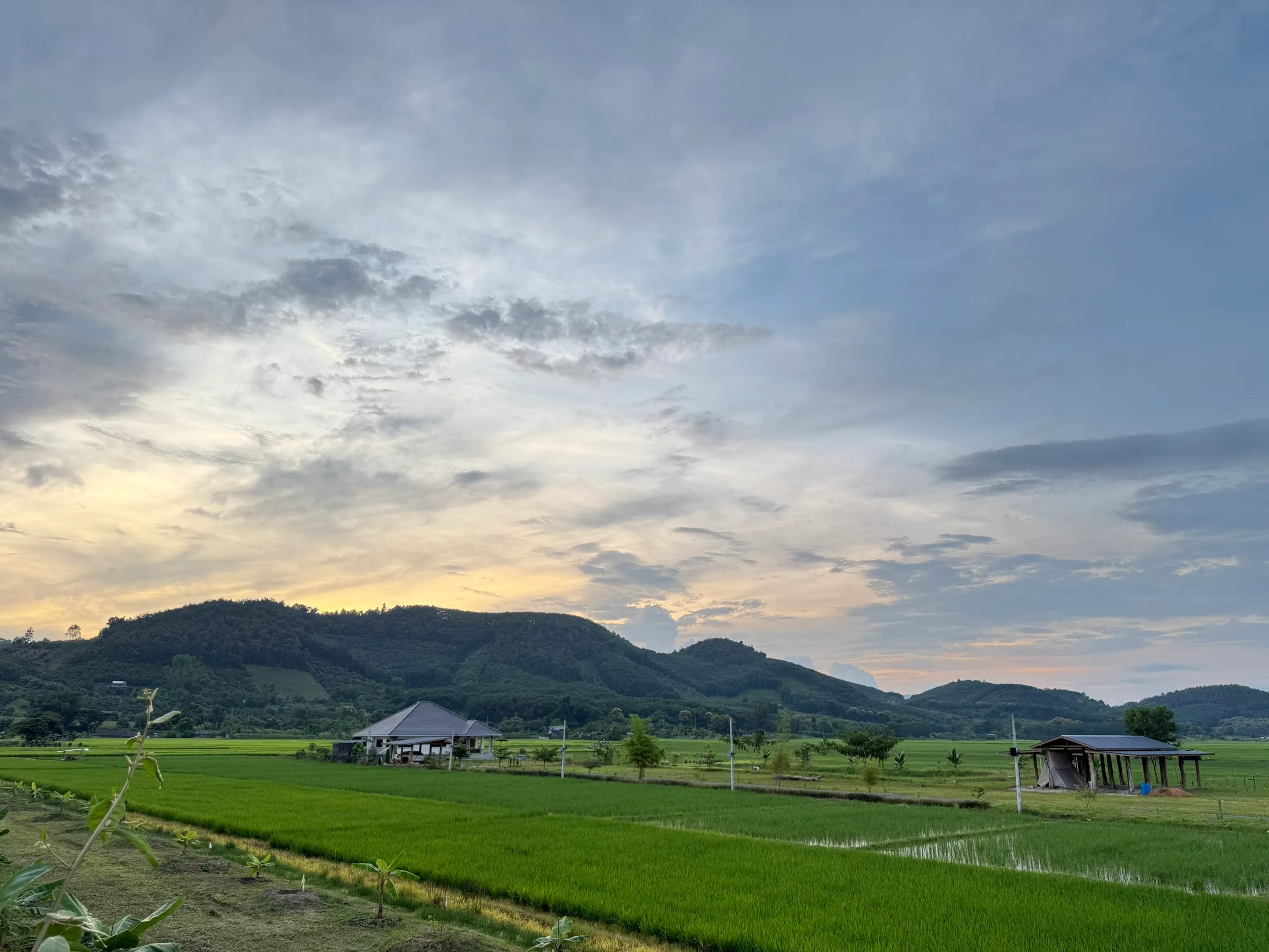 Contemporary Luxury Home | 9 Rai | 360° Mountain & Rice Field Views for sale
