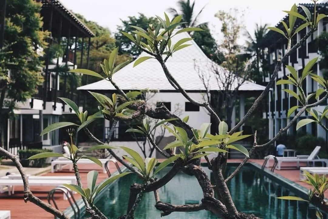 Beachfront Boutique Hotel for Sale – Koh Samui, Thailand