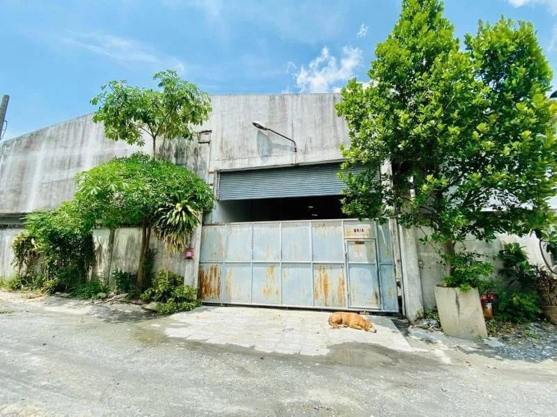 Warehouse Bangpla for sale