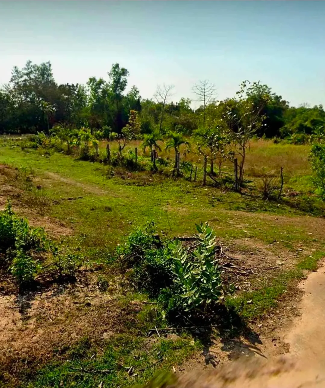 URGENT SALE – LAND 1 RAI IN UDON THANI, THAILAND